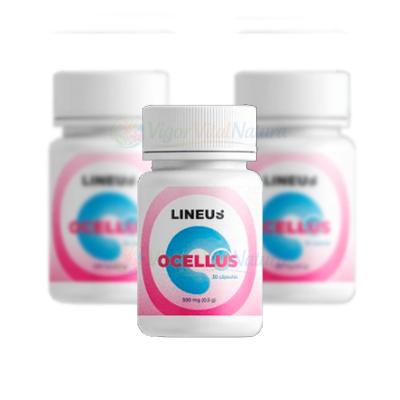 Ocellus — foto del producto