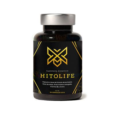 Hitolife